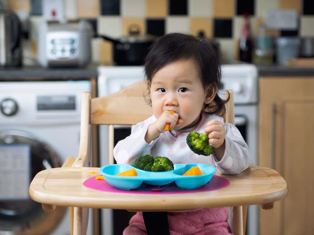 Pola Makan yang Baik 