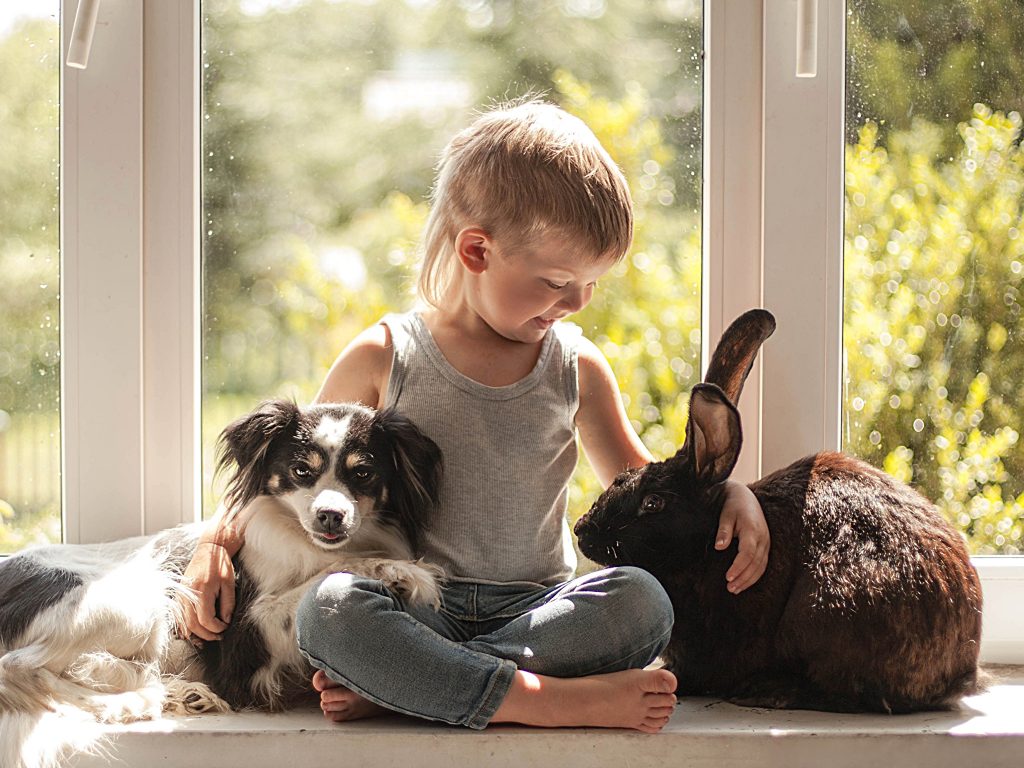 Inilah Beberapa Manfaat Memiliki Hewan Peliharaan bagi Anak
