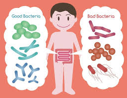 Bakteri Baik 