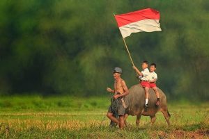 Kemerdekaan Indonesia Wajib Anak Ketahui
