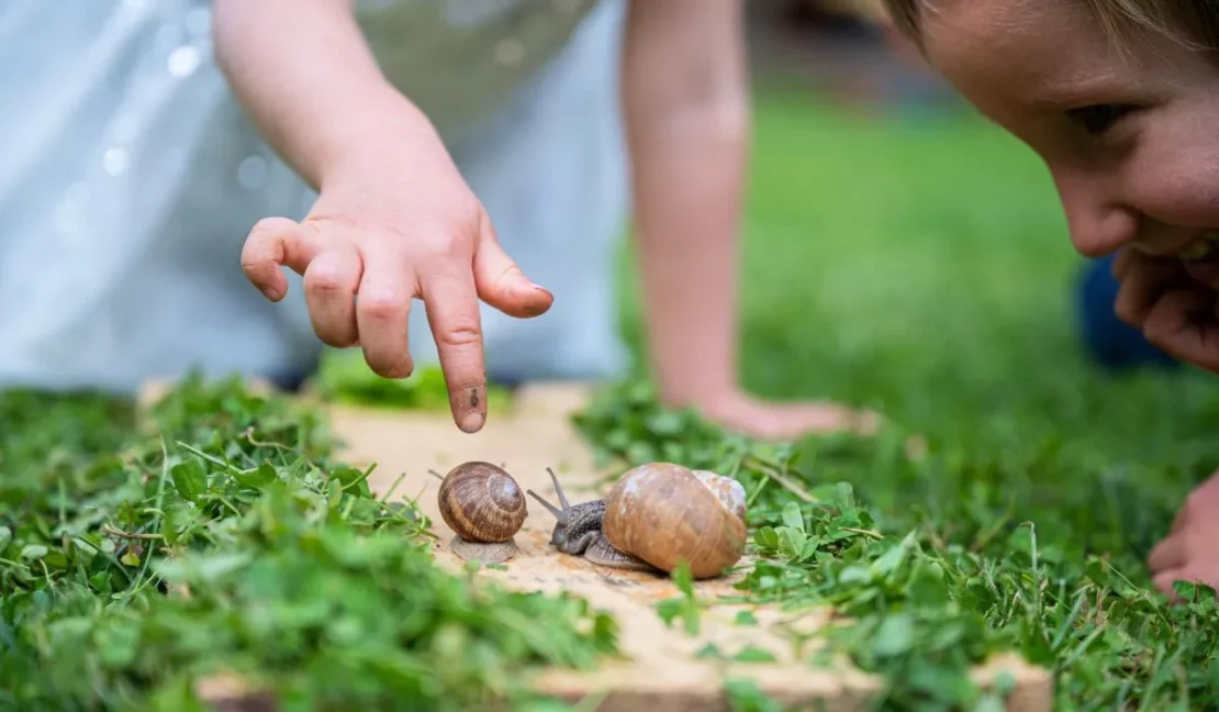 Mindfulness Exercises