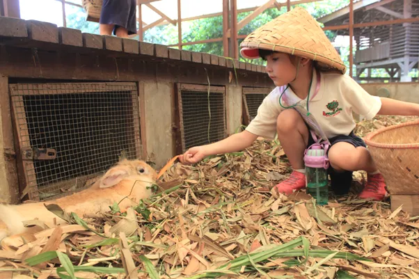 4. Apple Tree Preschool Bsd_www.appletreebsd.com