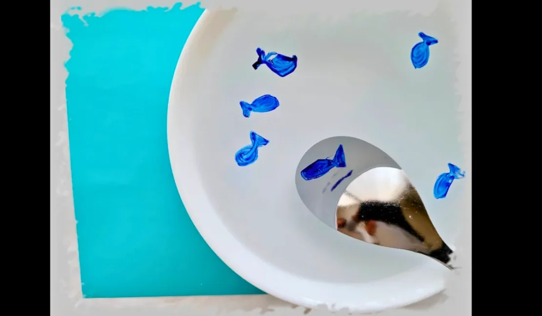 DIY Science Floating Fish Magic_www.appletreebsd.com