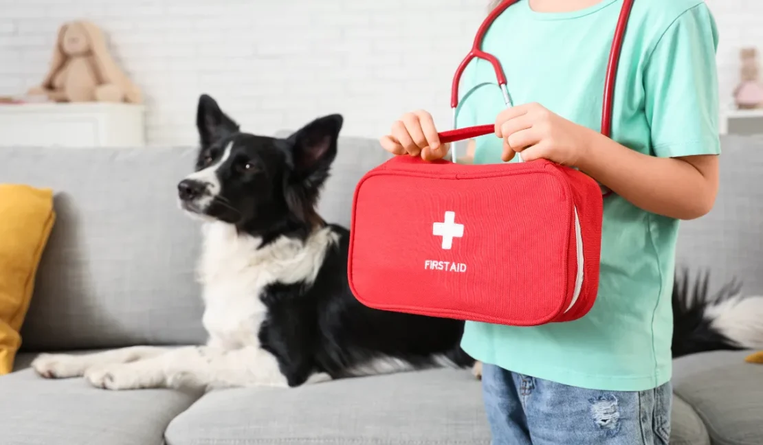 Essential First Aid Skills Every Parent Needs