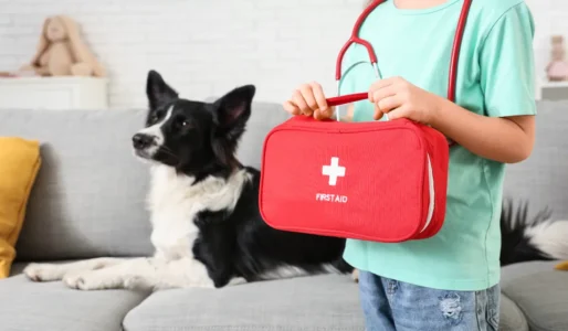 Essential First Aid Skills Every Parent Needs