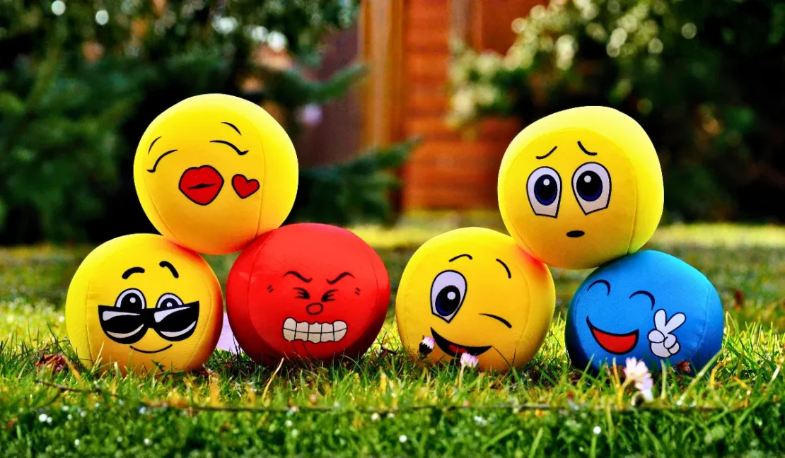 Social Emotional Learning Guide for Early Childhood