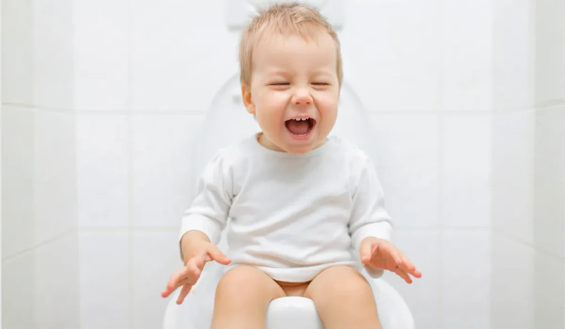 Panduan Toilet Training