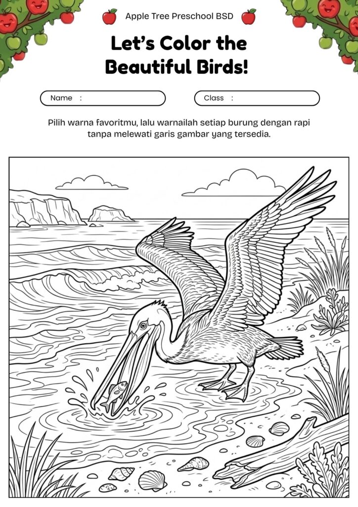 14-mewarnai-burung-pelikan-di-pinggir-pantai-printable-anak